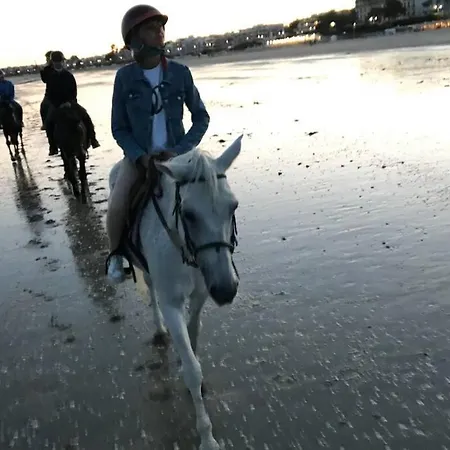 5 Pers A 50 M De Apartman *