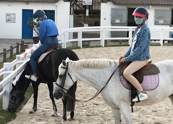 Apartman 5 Pers A 50 M De La Baule