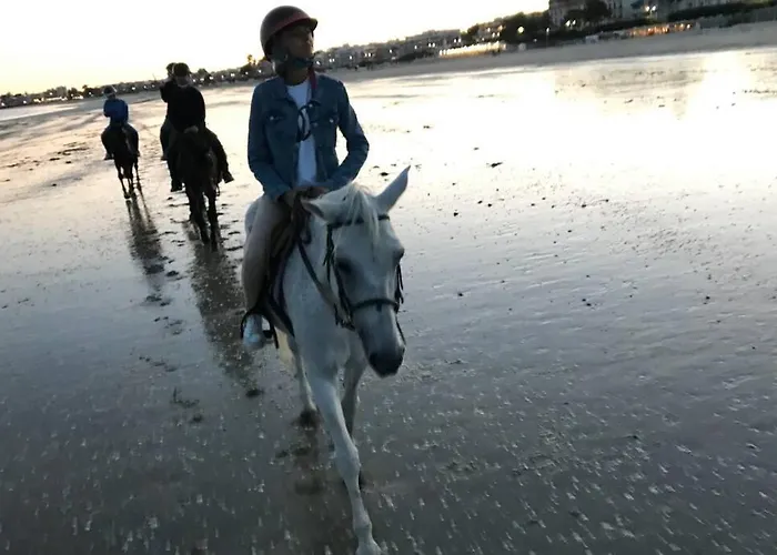 5 Pers A 50 M De Apartment *